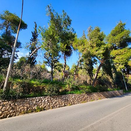 Cozy Apartment For 4 In Kolonaki, Lycabettus Athens Exterior photo